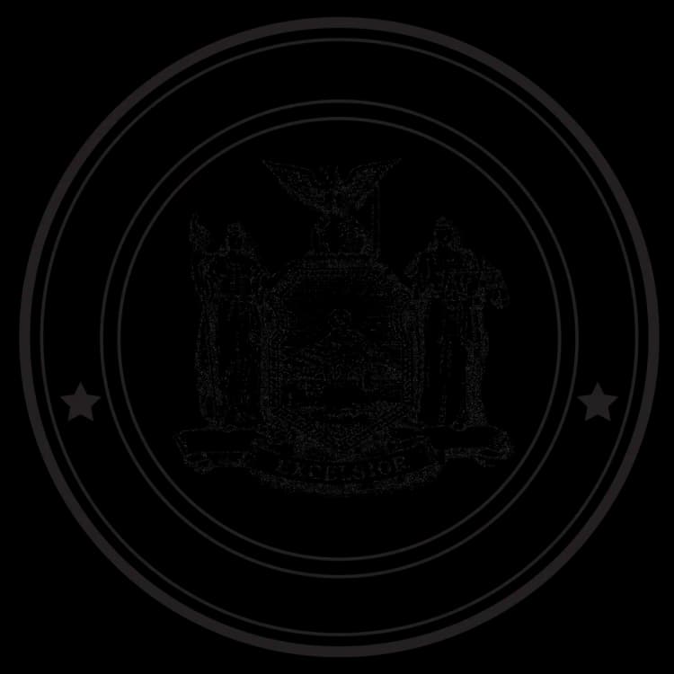 New York State Assembly